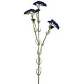 Kunstblume/Seidenblume Statice/Strandflieder