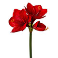 Kunstblume Amaryllis x3 Real Touch