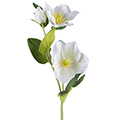 Kunstblume/Seidenblume Christrose geeist