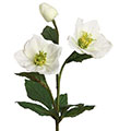 Kunstblume/Seidenblume Christrose mit zwei Blüten und einer Knospe