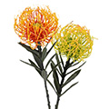 Kunstblume/Seidenblume Protea offen