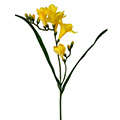 Kunstblume/Seidenblume Freesie