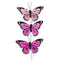 Schmetterling Amira am Drahtpick