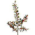 Kunstblume/Seidenblume Cotoneaster mit Beeren