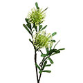 Kunstblume/Seidenblume Protea mit 2 Blüten