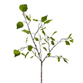 Kunstblume/Seidenblume Birkenzweig mit Blättern und Früchten