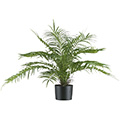 Kunstpflanze Aracea-Palmbusch x15 im Topf