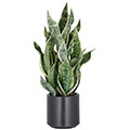 Kunstpflanze Sansevieria Green Honey im Topf