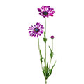 Kunstblume/Seidenblume Kapmargerite mit 2 Blüten und einer Knospe
