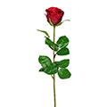 Kunstblume/Seidenblume Rose langstielig