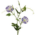 Kunstblume/Seidenblume Ackerwinde mit 2 Blüten und 2 Knospen