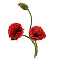 Kunstblume/Seidenblume Mohnbund Deluxe mit 2 Blüten und einer Knospe