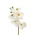 Kunstblume/Seidenblume Phalaenopsis-Orchidee