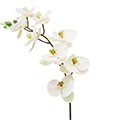 Kunstblume/Seidenblume Phalaenopsis-Orchidee
