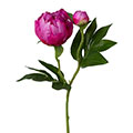 Kunstblume/Seidenblume Pfingstrose mit einer Blüte und einer Knospe