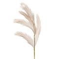 Kunstblume Pampasgras