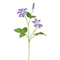Kunstblume/Seidenblume Clematis mit 2 Blüten und einer Knospen