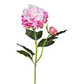 Kunstblume/Seidenblume Pfingstrose mit einer Blüte und einer Knospe