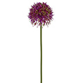 Kunstblume/Seidenblume Allium