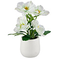 Kunstblume/Seidenblume Christrosen im dekorativen weißen Töpfchen (9cm)