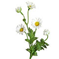 Kunstblume/Seidenblume Margerite mit 5 Blüten und Knospen