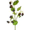 Kunstblume/Seidenblume Maulbeerzweig