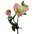 Kunstblume/Seidenblume Christrose mit einer kleinen und einer großen Blüte