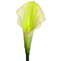 Kunstblume Calla Real Touch mit kleiner Blüte