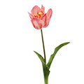 Kunstblume/Seidenblume Kronentulpe mit extragroßer Blüte