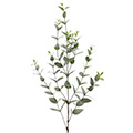 Kunstblume Eukalyptuszweig