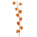 Kunstblume/Seidenblume Laternenzweig