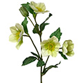 Kunstblume/Seidenblume Christrose mit vier Blüten und einer Knospe