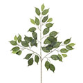 Kunstblume/Seidenblume Ficus-Zweig mit 42 Blättern