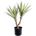 Kunstpflanze Agave x2 im Topf