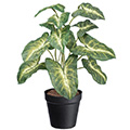 Kunstpflanze Syngonium pixie x12 im Topf