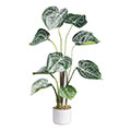 Kunstblume Anthurium clarinervium im Topf