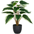 Kunstpflanze Hosta x15 im Topf
