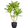 Kunstpflanze Dieffenbachia x3 im Topf