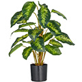 Kunstpflanze Dieffenbachia reeva x21 im Topf