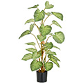 Kunstpflanze Syngonium x29 im Topf