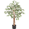 Kunstpflanze Ficus hawaii im Topf