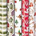 Geschenkpapier-Röllchensortiment Pure Nature
