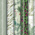 Geschenkpapier-Röllchensortiment Jungle Feeling