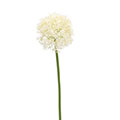 Kunstblume/Seidenblume Allium mit 13cm Blüte