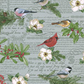 Geschenkpapier Jonesville