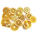 Orangenscheiben