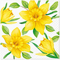 Cocktail-Serviette Daffodils in Bloom