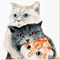 Serviette Better Together